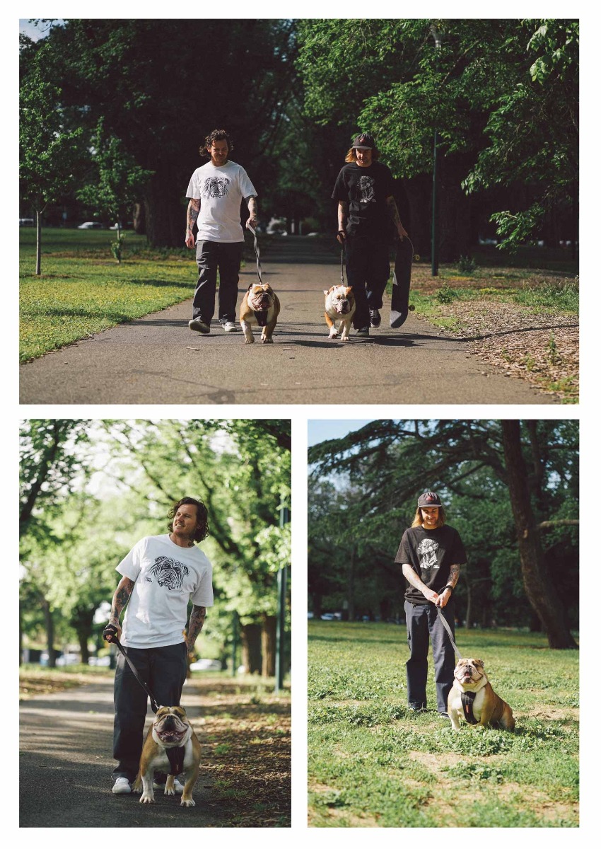 Pup Collection