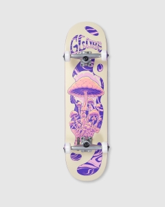 Globe G1 Mind Expansion Complete Off White/Purple