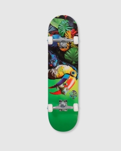 Push Toucan First Push Complete Green