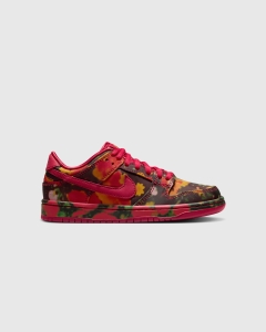 Nike Wizard Of Oz PS Dunk Low Pro Gym Red/University Red/Multi