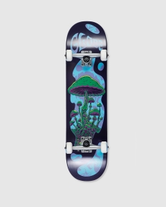 Globe G1 Mind Expansion Complete Green/Purple