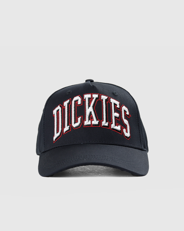 Dickies HICO Curved Peak Snapback Dark Navy