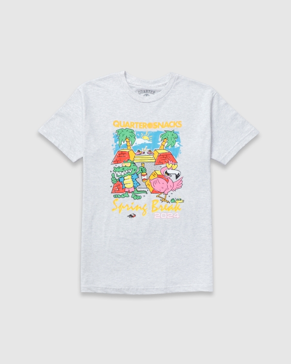 Quartersnacks Spring Break T-Shirt Ash Grey