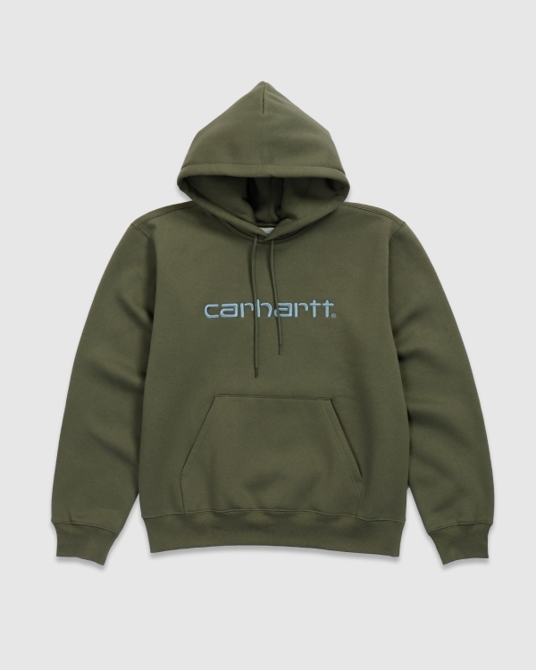 Carhartt WIP Carhartt Sweat PO Hood Leaf/Tourmaline