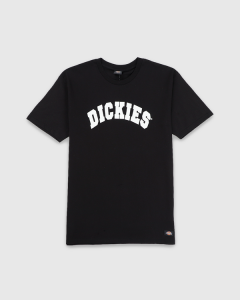 Dickies Princeton Classic Fit T-Shirt Black