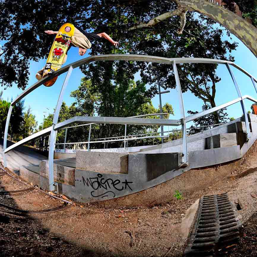 Alex Lawton